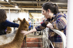 Senator Amanda Cappelletti attends the  108th Pennsylvania Farm Show  :: January 2024