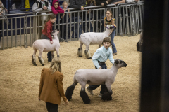 The 108th Pennsylvania Farm Show  :: January 2024