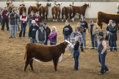 The 108th Pennsylvania Farm Show  :: January 2024