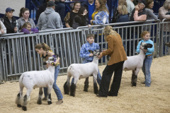 The 108th Pennsylvania Farm Show  :: January 2024