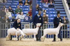 The 108th Pennsylvania Farm Show  :: January 2024