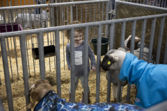 The 108th Pennsylvania Farm Show  :: January 2024
