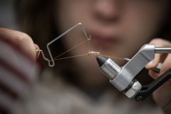 The 108th Pennsylvania Farm Show  :: January 2024