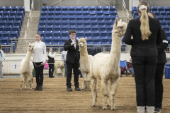 The 108th Pennsylvania Farm Show  :: January 2024