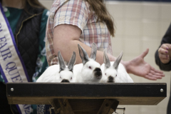 The 108th Pennsylvania Farm Show  :: January 2024