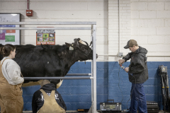 The 108th Pennsylvania Farm Show  :: January 2024
