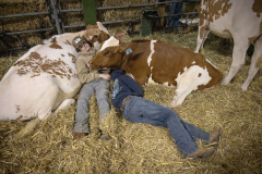 The 108th Pennsylvania Farm Show  :: January 2024