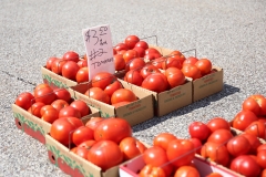 Sen. Costa Visits Wilkinsburg Farmers Market