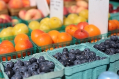 Sen. Costa Visits Wilkinsburg Farmers Market