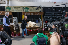 January 2, 2025: The Pennsylvania Farm Show unveiled its annual butter sculpture. The sculpture is called "From Moo to Marvel: Dairy Cows Power Pennsylvania.