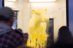 January 2, 2025: The Pennsylvania Farm Show unveiled its annual butter sculpture. The sculpture is called "From Moo to Marvel: Dairy Cows Power Pennsylvania.