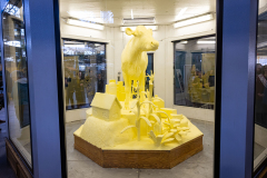 January 2, 2025: The Pennsylvania Farm Show unveiled its annual butter sculpture. The sculpture is called "From Moo to Marvel: Dairy Cows Power Pennsylvania.