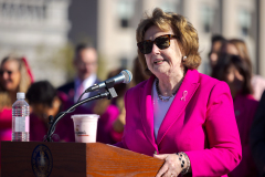 Fountain Pink for Breast Cancer Awareness Month