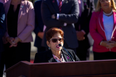 Fountain Pink for Breast Cancer Awareness Month