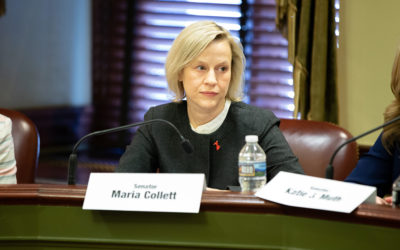 Senator Collett Addresses PFAS Crisis in Budget Hearing with Pa Secretary of Health