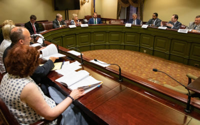 Joint, Bipartisan Senate Committees Discuss Possible School District Consolidation