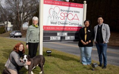 Comitta Secures Funding for Brandywine Valley SPCA Upgrades