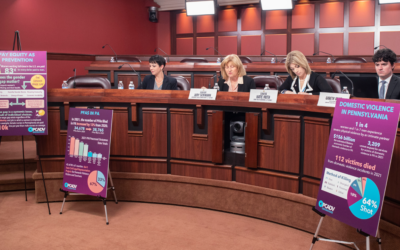 Senate Dems Discuss Domestic Violence Awareness, Funding at Capitol Hearing