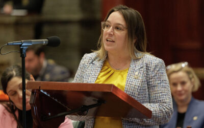Senate Democrats to Introduce Legislation Forgiving Budget Impasse-Related Loan Interest For Counties, Non-Profits, and School Districts