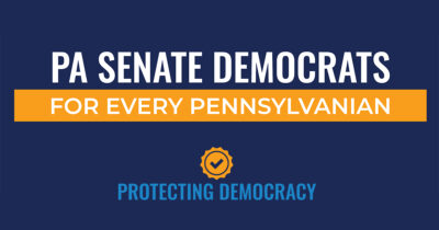 Protecting Democracy