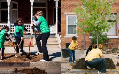 Senator Nick Miller Announces Funding to Expand Old Allentown Tree Initiative; Community Encouraged to Attend Planting Day