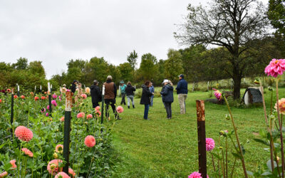 Good Dog Farm, Sen. Lindsey Williams, Allegheny County Conservation District Celebrate Completed Conservation Project